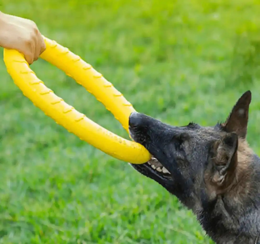 Hund biter i en gul ringformad leksak som hålls av en hand.