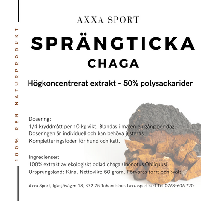 Sprängticka Chaga 50%